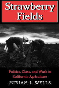 Title: Strawberry Fields: Politics, Class, and Work in California Agriculture / Edition 1, Author: Miriam J. Wells