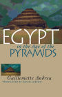 Egypt in the Age of the Pyramids / Edition 1