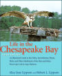 Life in the Chesapeake Bay