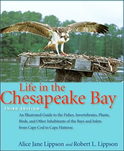 Life in the Chesapeake Bay / Edition 3