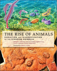 Title: The Rise of Animals: Evolution and Diversification of the Kingdom Animalia, Author: Mikhail A. Fedonkin
