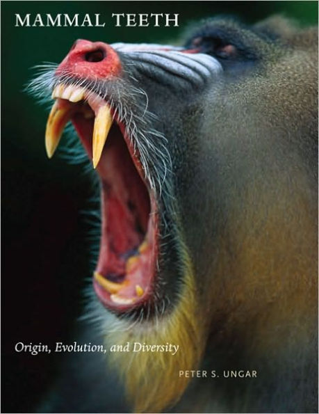 Mammal Teeth: Origin, Evolution, and Diversity