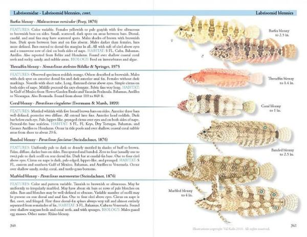 A Field Guide to Coastal Fishes: From Maine to Texas