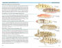 Alternative view 2 of A Field Guide to Coastal Fishes: From Maine to Texas