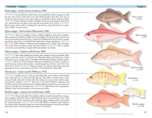 Texas Fish Chart