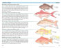 Alternative view 4 of A Field Guide to Coastal Fishes: From Maine to Texas