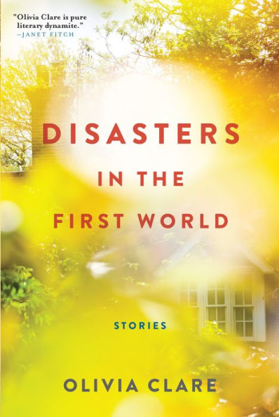Disasters the First World: Stories