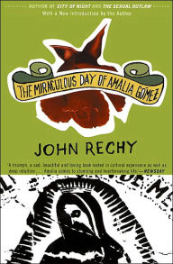 Title: The Miraculous Day of Amalia Gómez, Author: John Rechy