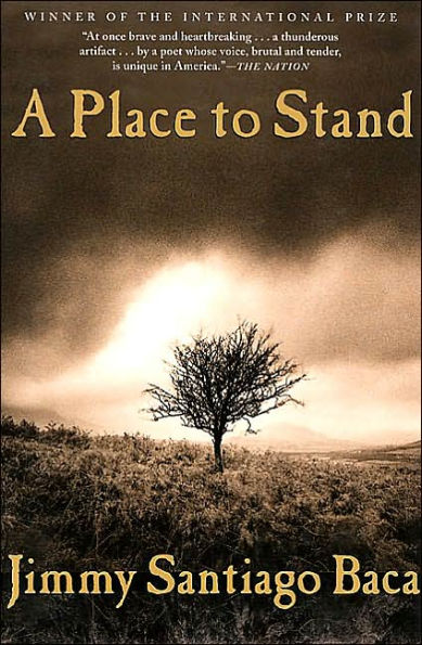 A Place to Stand: The Making of a Poet