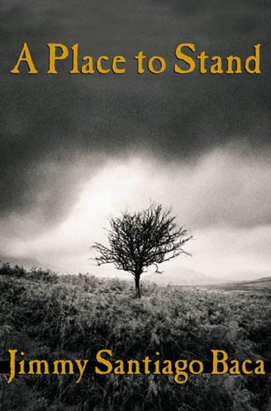 a Place to Stand: The Making of Poet
