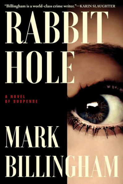 Rabbit Hole: A Novel of Suspense
