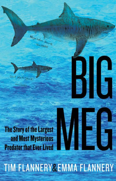 Big Meg: the Story of Largest and Most Mysterious Predator that Ever Lived