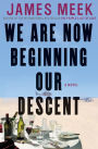 We Are Now Beginning Our Descent: A Novel