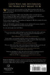 Alternative view 2 of Understanding and Applying the Bible: Revised and Expanded