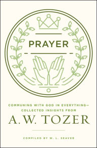 Free digital audio book downloads Prayer: Communing with God in Everything--Collected Insights from A. W. Tozer (English Edition) by A. W. Tozer 9780802413819 RTF MOBI ePub