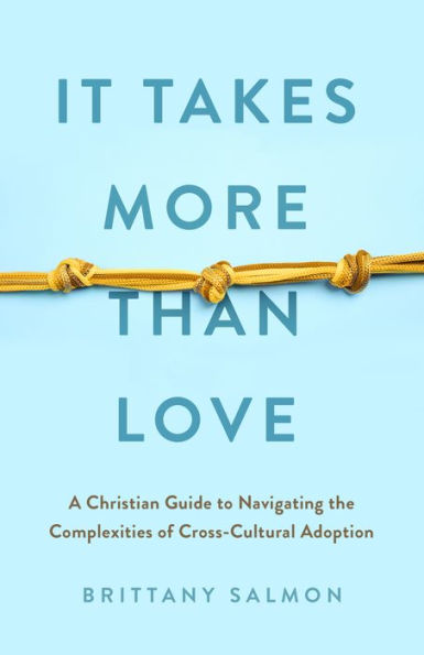 It Takes More Than Love: A Christian Guide to Navigating the Complexities of Cross-Cultural Adoption