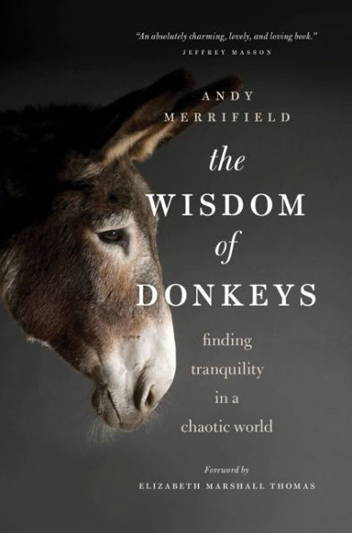 The Wisdom of Donkeys: Finding Tranquility a Chaotic World