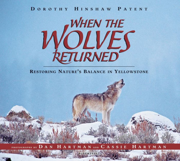 When the Wolves Returned: Restoring Nature's Balance in Yellowstone