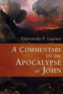 The Apocalypse of John