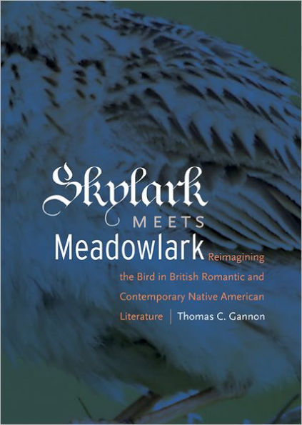 Skylark Meets Meadowlark: Reimagining the Bird in British Romantic and Contemporary Native American Literature