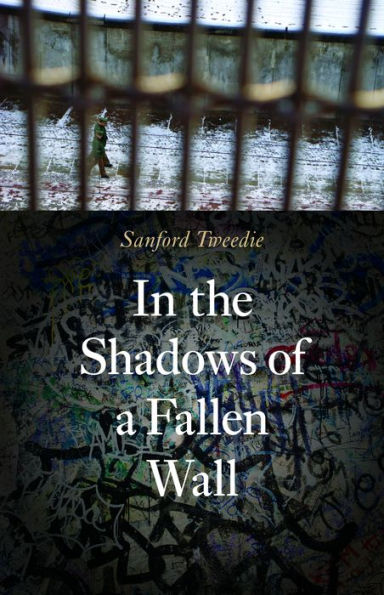 In the Shadows of a Fallen Wall