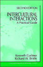 Intercultural Interactions: A Practical Guide / Edition 1