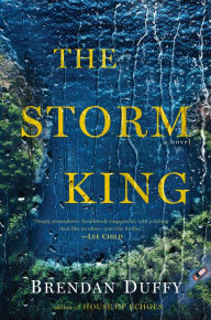 Title: The Storm King: A Novel, Author: Brendan Duffy