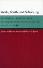 Work, Youth, and Schooling: Historical Perspectives on Vocationalism in American Education