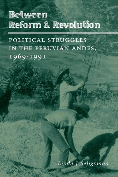 Between Reform and Revolution: Political Struggles the Peruvian Andes, 1969-1991