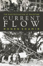 Current Flow: The Electrification of Palestine / Edition 1