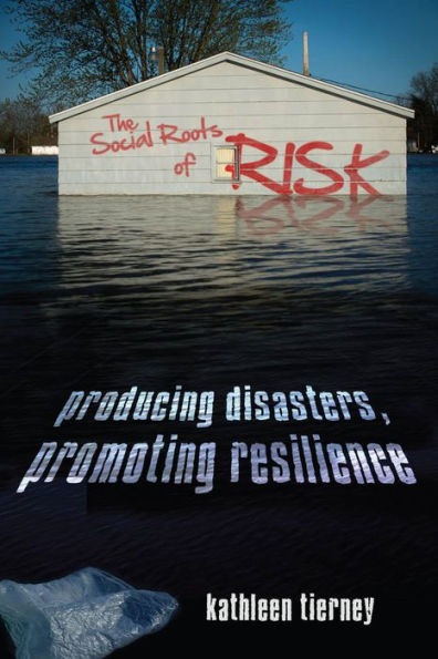 The Social Roots of Risk: Producing Disasters, Promoting Resilience / Edition 1