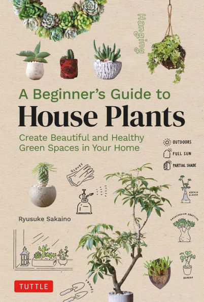 A Beginner's Guide to House Plants: Creating Beautiful and Healthy Green Spaces in Your Home