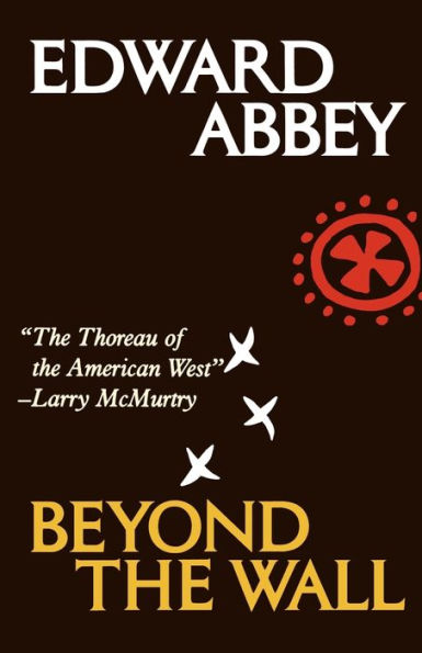 Beyond the Wall: Essays from Outside