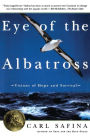 Eye of the Albatross: Visions of Hope and Survival