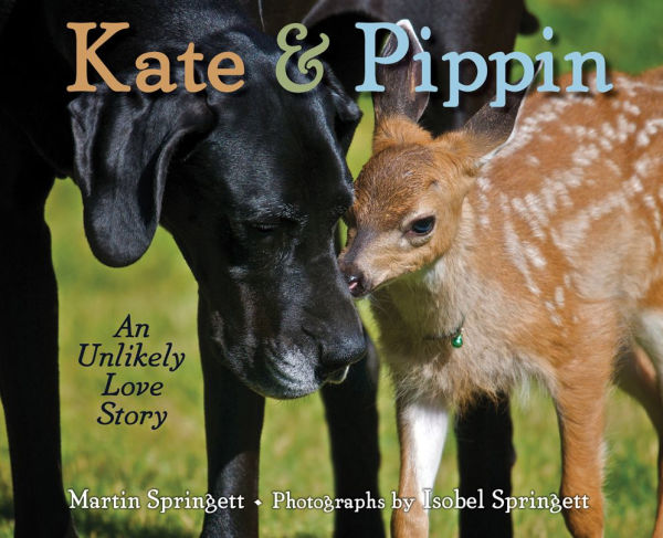 Kate & Pippin: An Unlikely Love Story