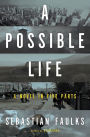 Alternative view 2 of A Possible Life: A Novel in Five Love Stories