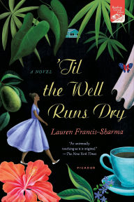 Free download electronic books 'Til the Well Runs Dry: A Novel 9780805098044 English version