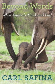 Free ebook downloads share Beyond Words: What Animals Think and Feel DJVU ePub FB2 9781250094599