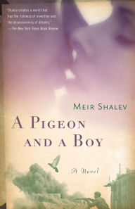 Title: A Pigeon and a Boy, Author: Meir Shalev