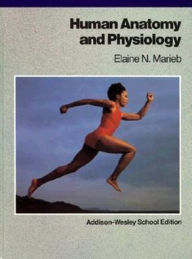 Title: Human Anatomy and Physiology / Edition 1, Author: Elaine Nicpon Marieb