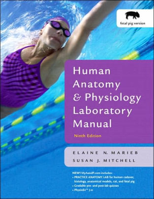 Human Anatomy And Physiology Lab Manual Fetal Pig Version