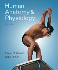 Title: Human Anatomy and Physiology / Edition 8, Author: Elaine N. Marieb