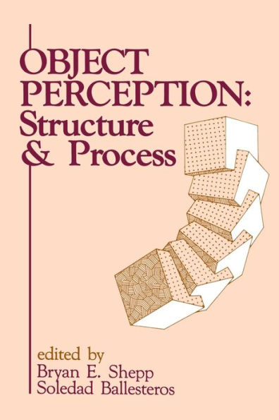 Object Perception: Structure and Process
