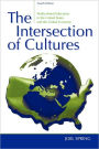 The Intersection of Cultures: Multicultural Education in the United States and the Global Economy / Edition 4