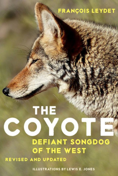 The Coyote: Defiant Songdog of the West