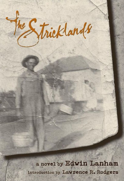 The Stricklands: A Novel / Edition 1