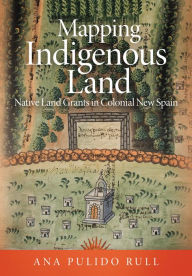Title: Mapping Indigenous Land: Native Land Grants in Colonial New Spain, Author: Ana Pulido Rull