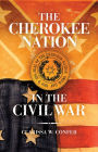 The Cherokee Nation in the Civil War