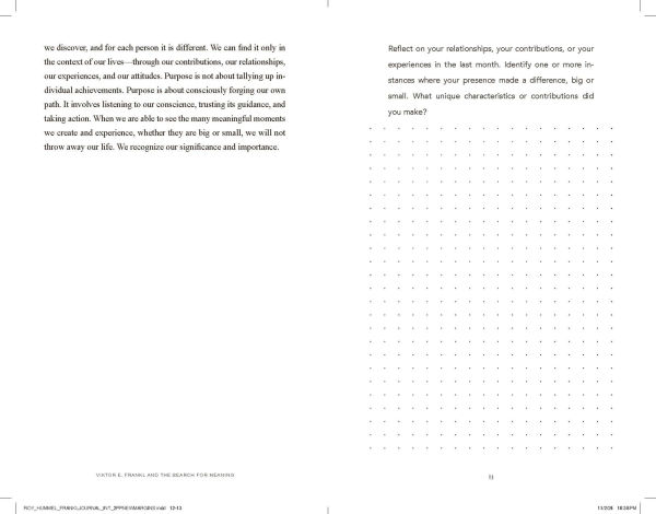 Viktor E. Frankl and the Search for Meaning: 21 Reflections on Living Life with Purpose, A Companion