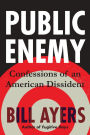 Public Enemy: Confessions of an American Dissident